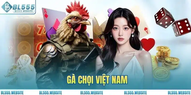 Gà Chọi Việt Nam: Sân Chơi Đá Gà Lôi Cuốn Hàng Đầu BL555